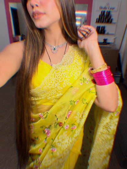 GULBAHAR ORGANZA COLLECTION